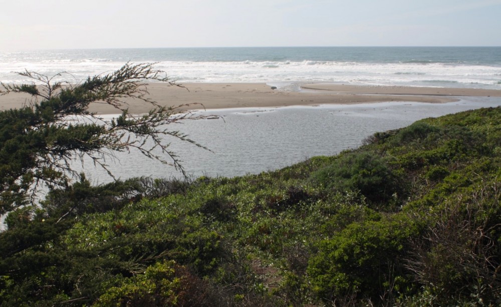 North Salmon Creek Beach in Bodega Bay, CA California Beaches