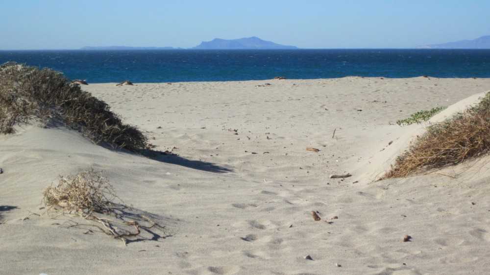 Image result for ormond beach oxnard