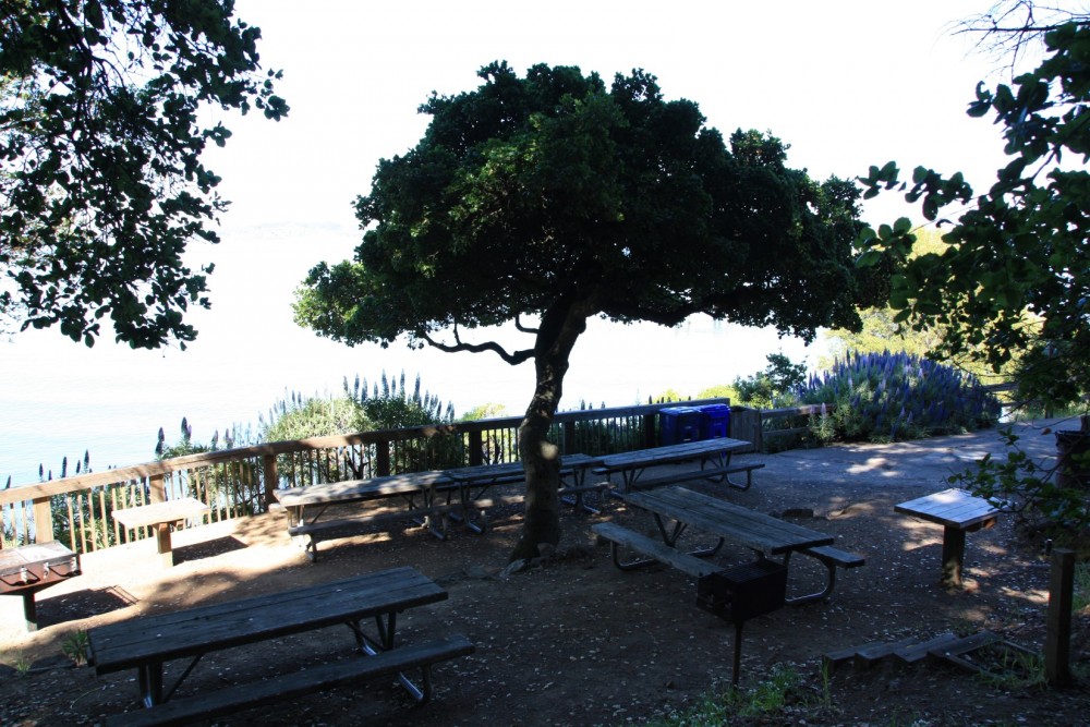 Paradise Beach Park, Tiburon, CA California Beaches