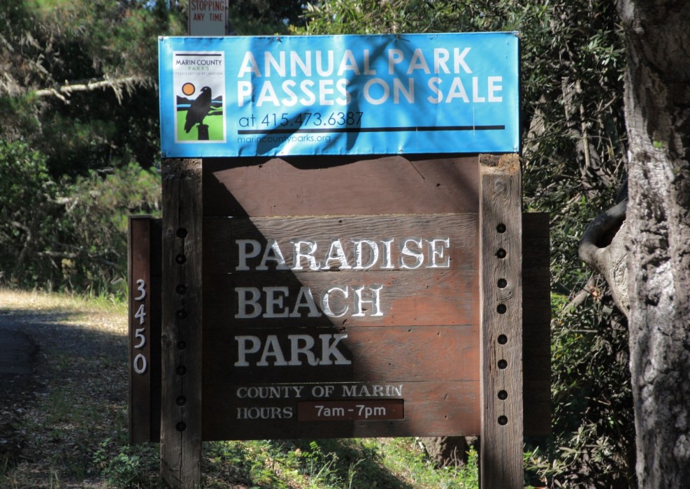 Paradise Beach Park in Tiburon, CA California Beaches