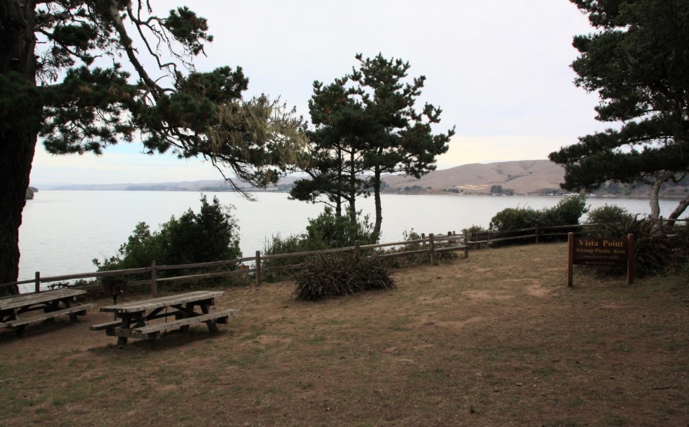 Pebble Beach at Tomales Bay State Park