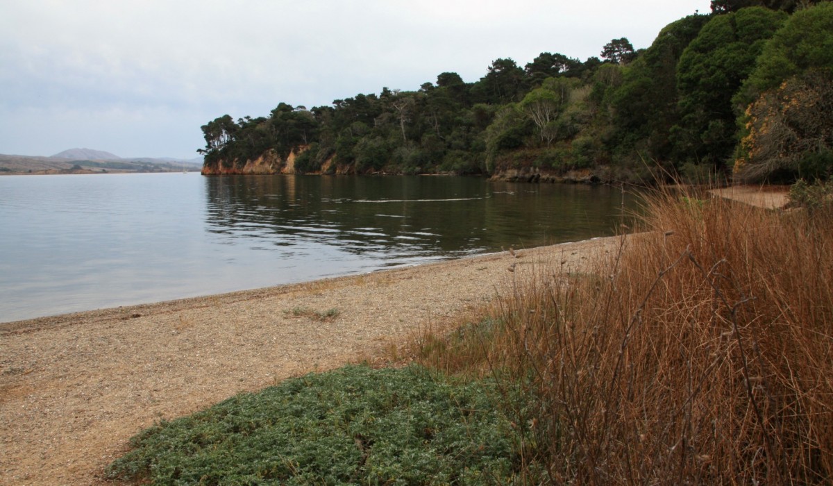 Hearts Desire Beach at Tomales Bay State Park in Inverness, CA