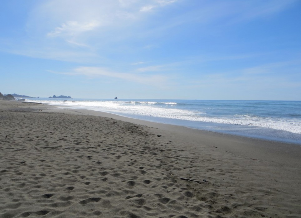 Pelican State Beach