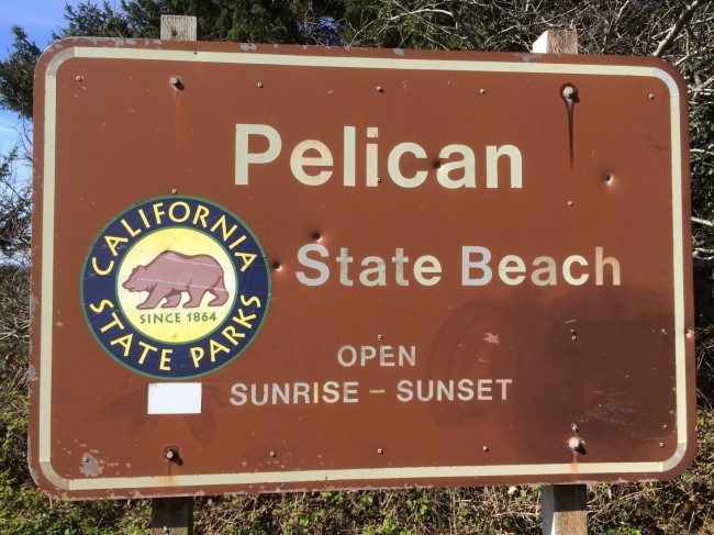 Pelican State Beach