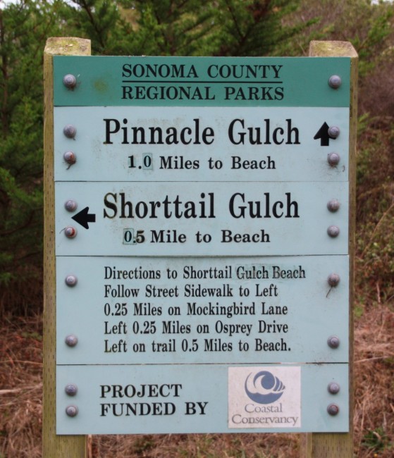 Pinnacle Gulch Beach