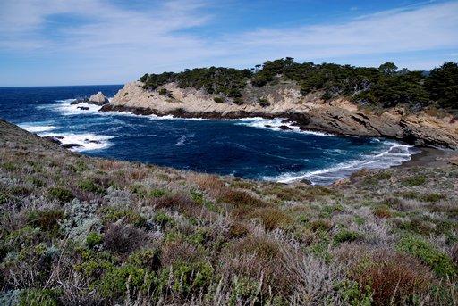 Point Lobos SNR – Headland Cove