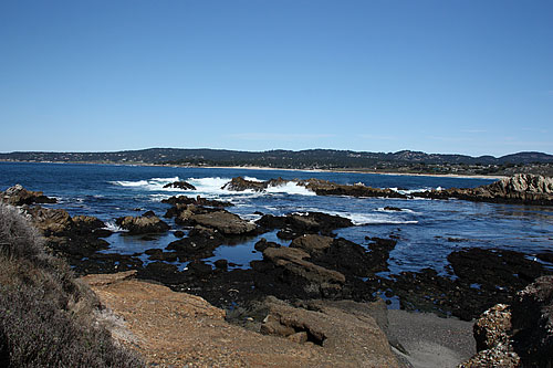Point Lobos SNR – Moss Cove