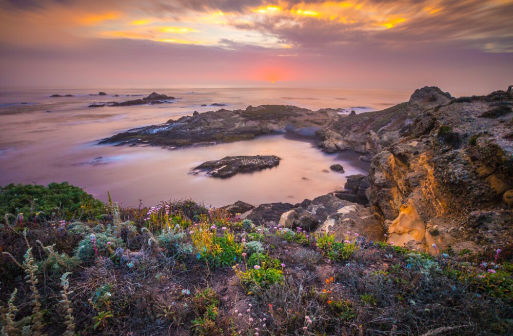 Point Lobos SNR – Sea Lion Cove