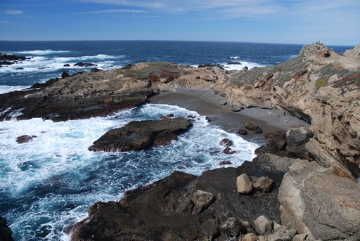 Point Lobos SNR – Sea Lion Cove