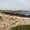 Point Pinos Beaches
