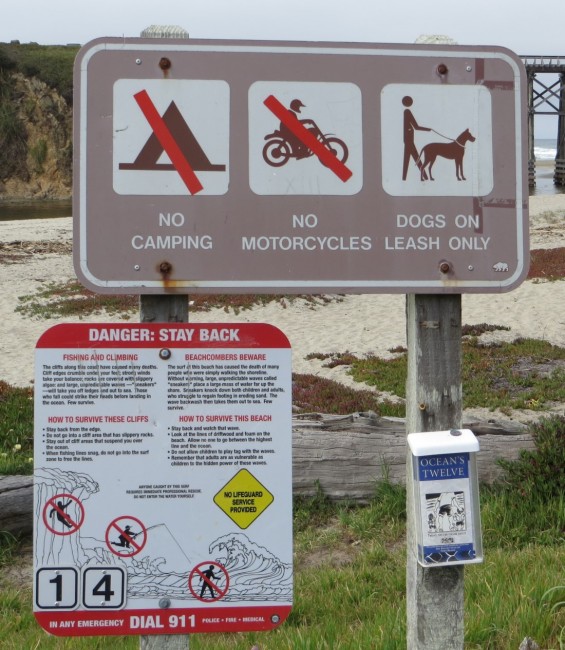Pudding Creek Beach in Fort Bragg, CA California Beaches