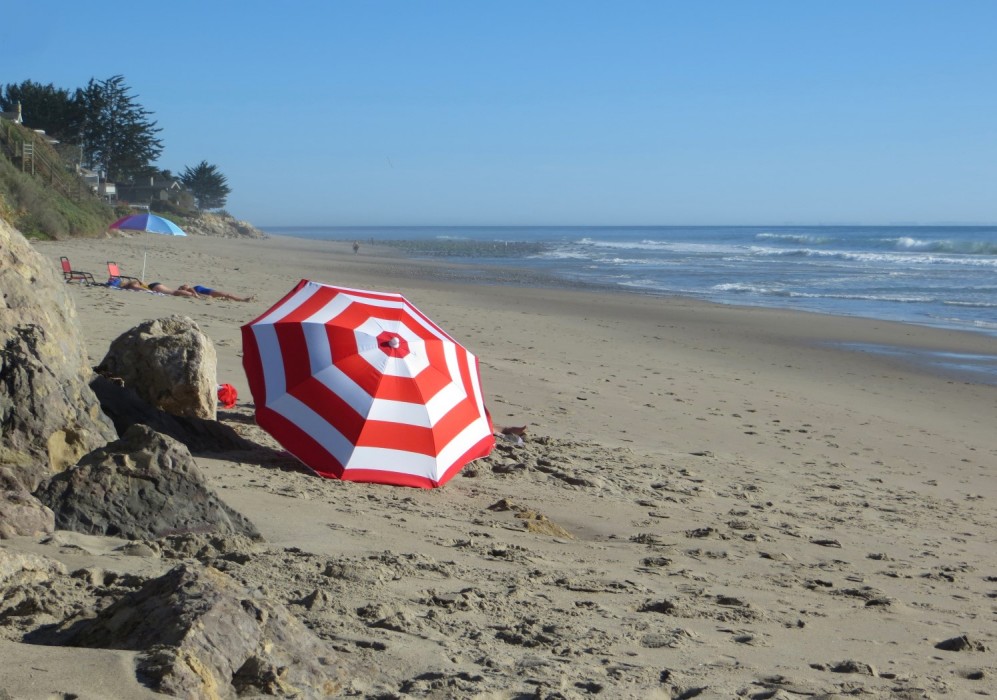 Rincon Park County Beach
