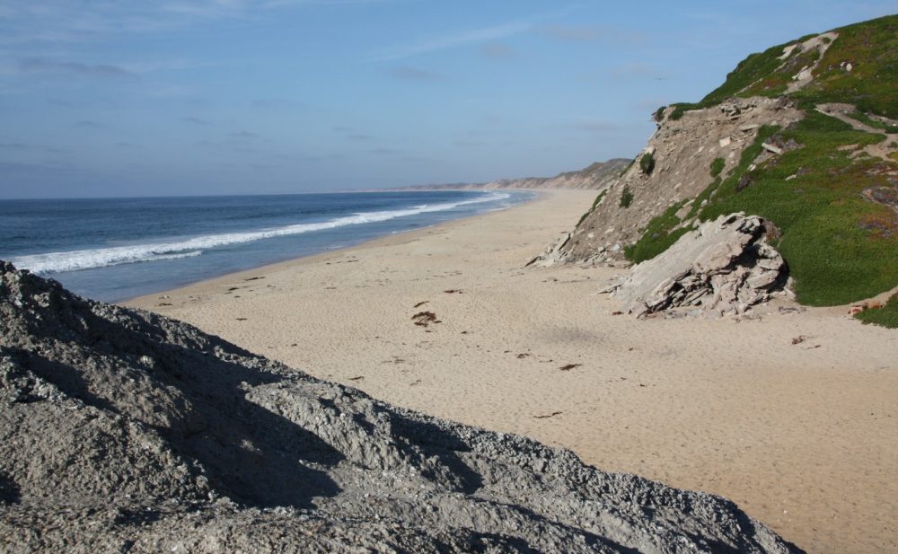 Sand City Beach
