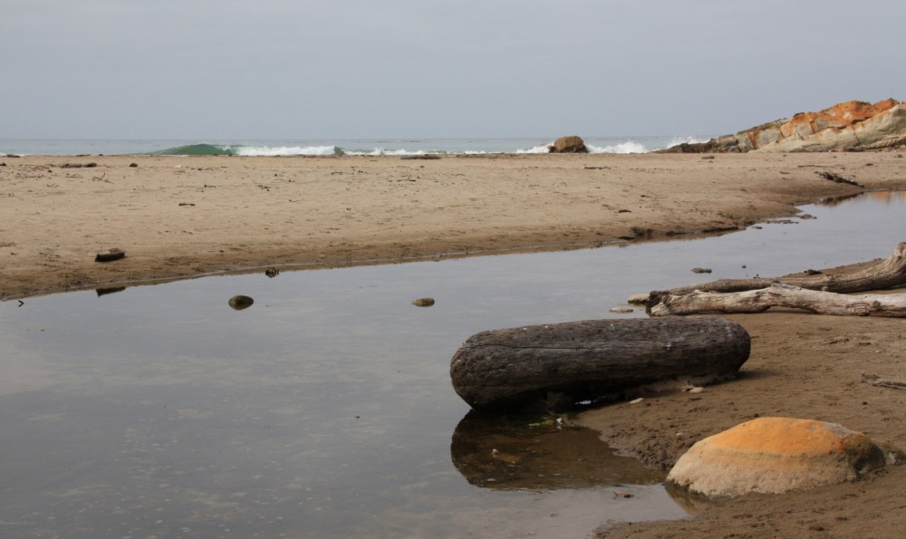 Schooner Gulch State Beach