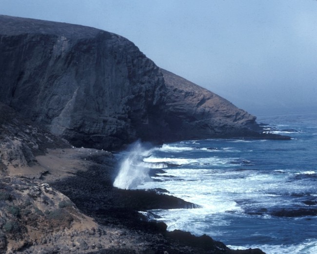 Sea Lion Rookery Channel Islands NPS