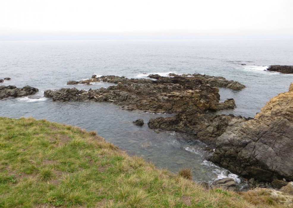 Seal Rock Picnic Area
