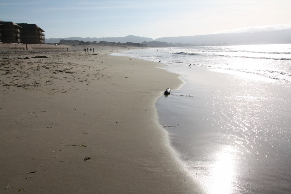 Monterey State Beach – Seaside Beach