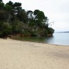 Shell Beach at Tomales Bay State Park
