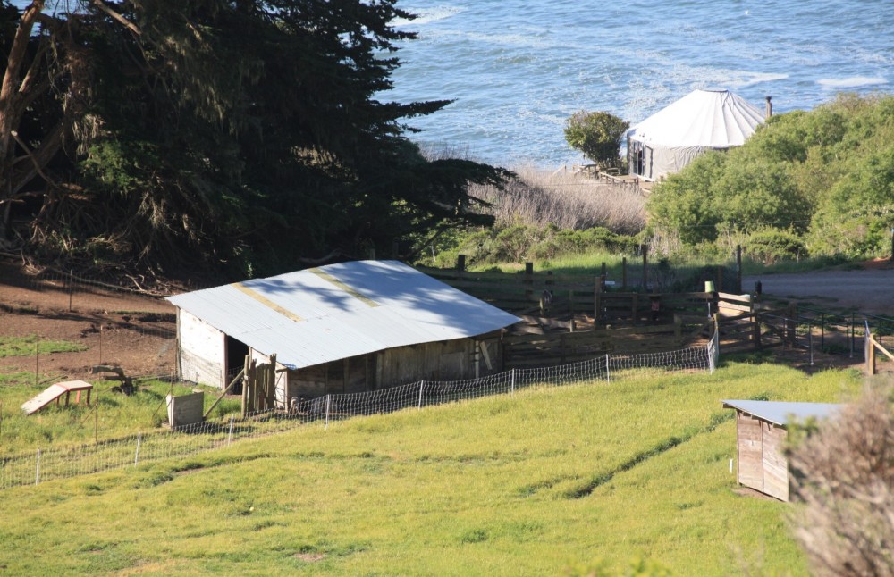 Slide Ranch Beach in Muir Beach, CA California Beaches