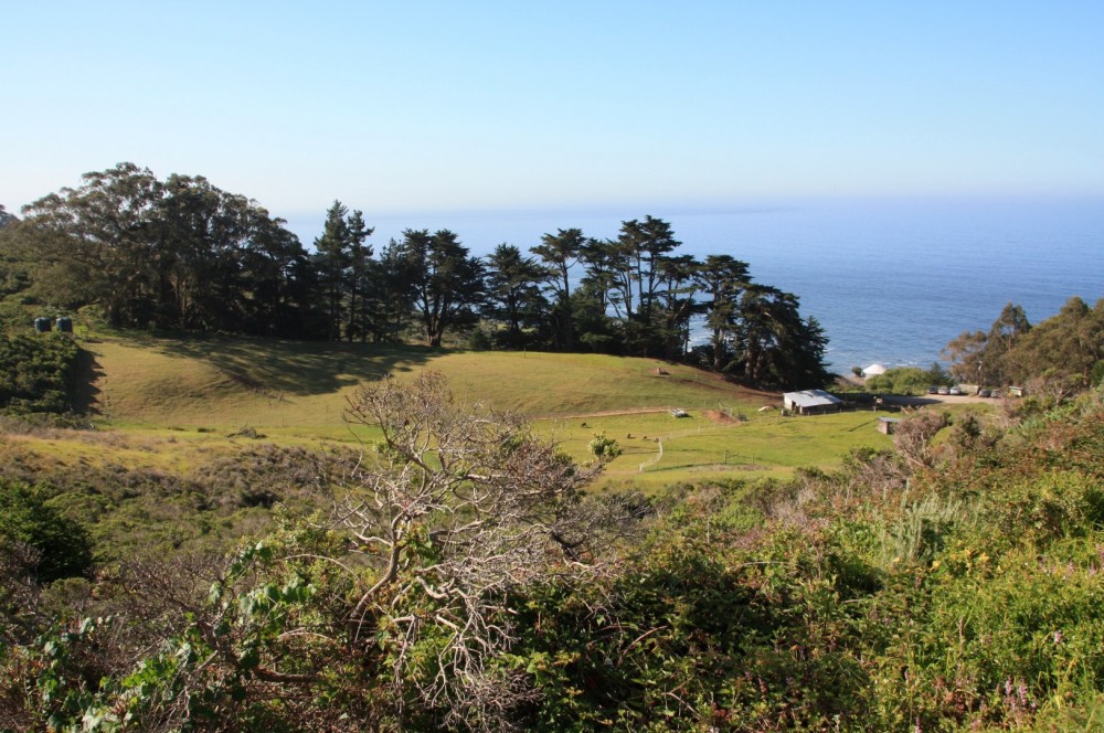 Slide Ranch Beach in Muir Beach, CA California Beaches