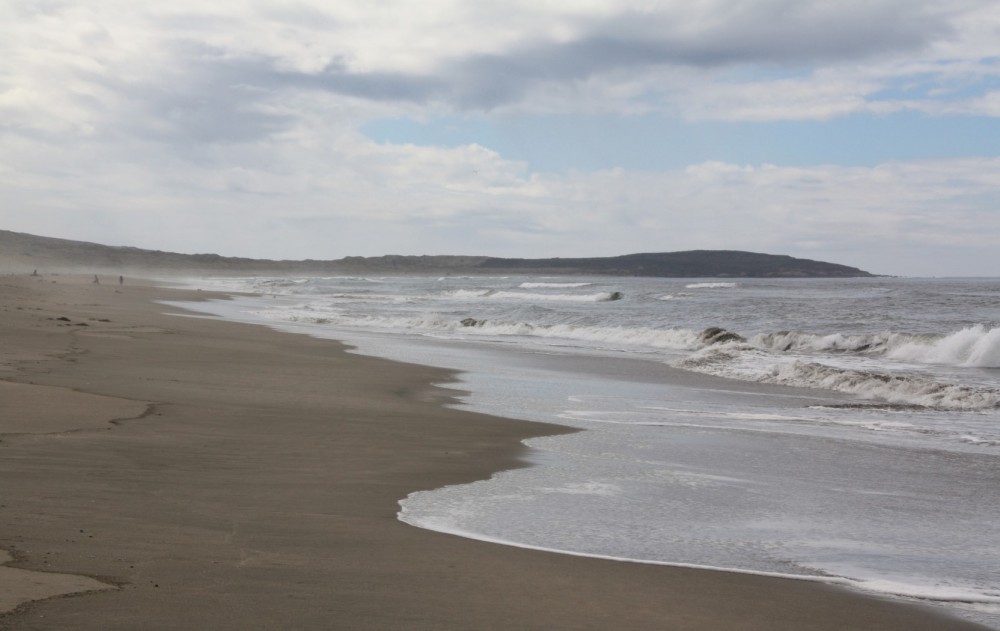 South Salmon Creek Beach