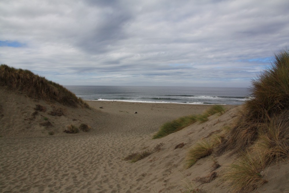 South Salmon Creek Beach, Bodega Bay, CA California Beaches