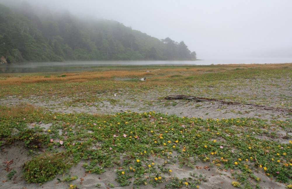 Stone Lagoon Beach in Orick, CA California Beaches