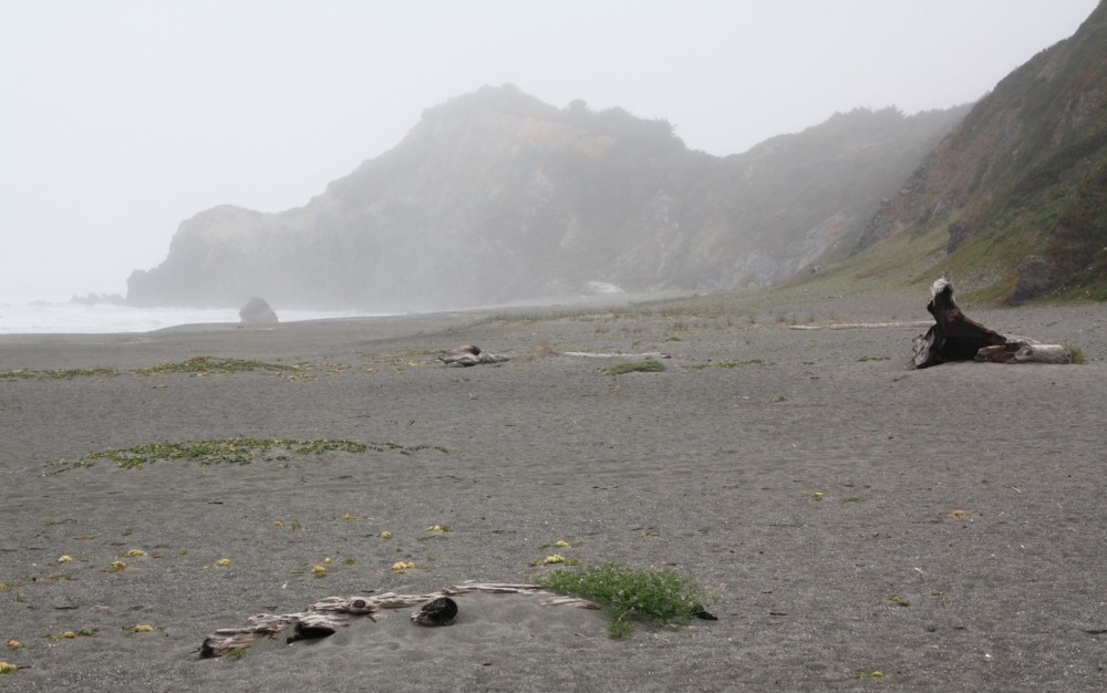 Stone Lagoon Beach in Orick, CA California Beaches