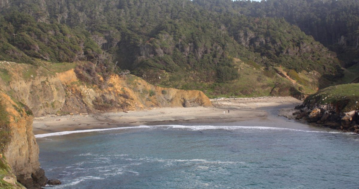 Salt Point State Park California Beaches