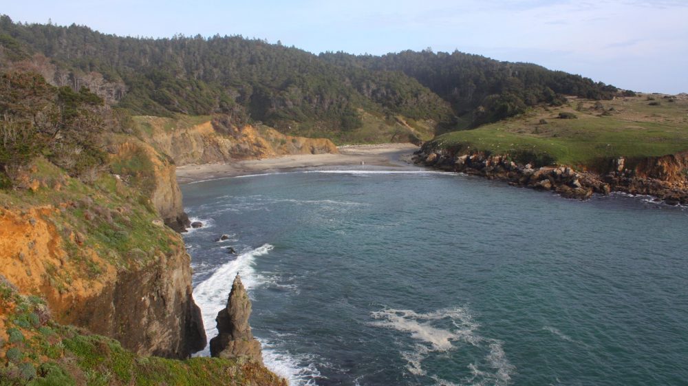 Stump Beach Cove in Jenner, CA California Beaches