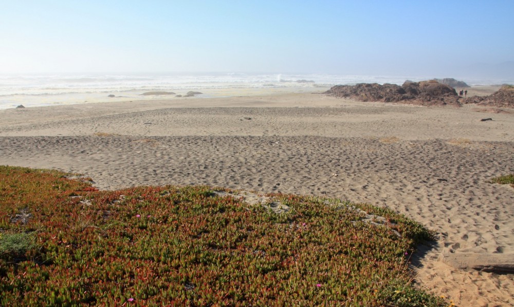 Ten Mile Beach