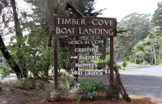 Timber Cove
