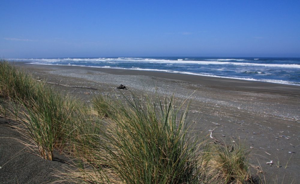 Tolowa Dunes State Park – North Section