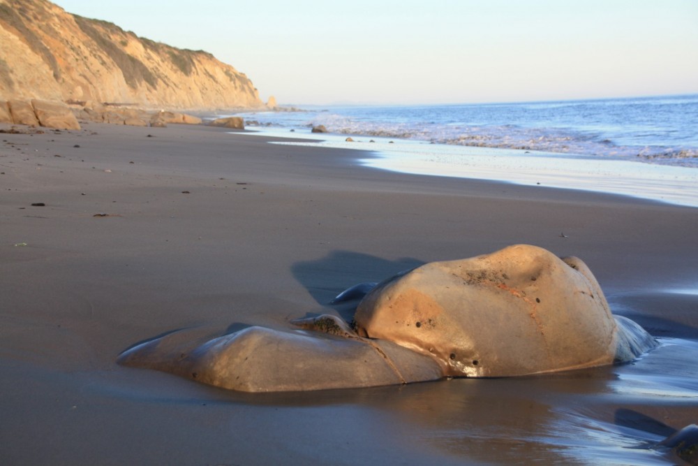Vista Del Mar Beach