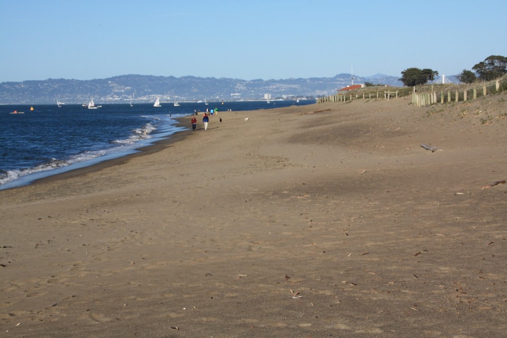 Crissy Field – West Bluff Beach