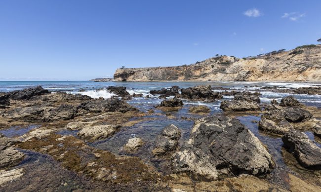 Best Tide Pools In Los Angeles California Beaches Best Tide Pools In Los Angeles California Beaches