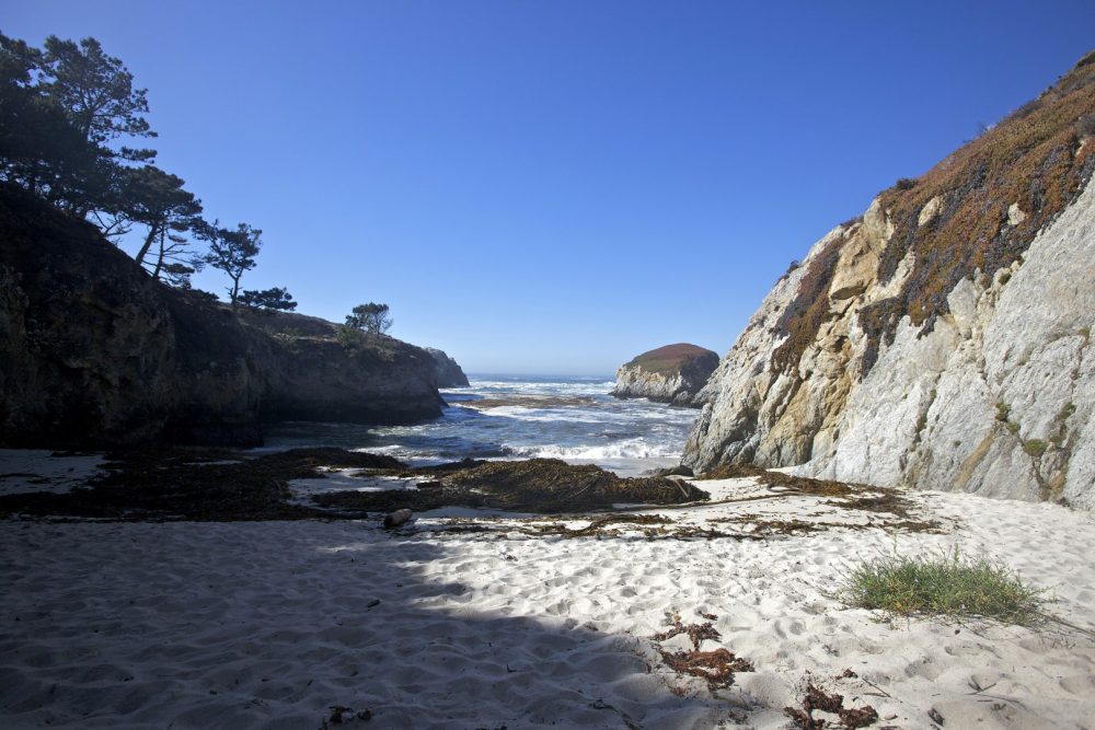 Point Lobos SNR – China Cove Beach