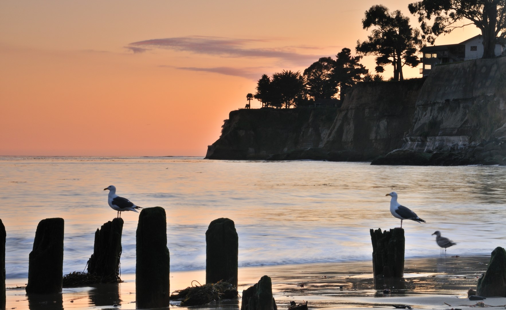 Capitola Beach in Capitola, CA California Beaches