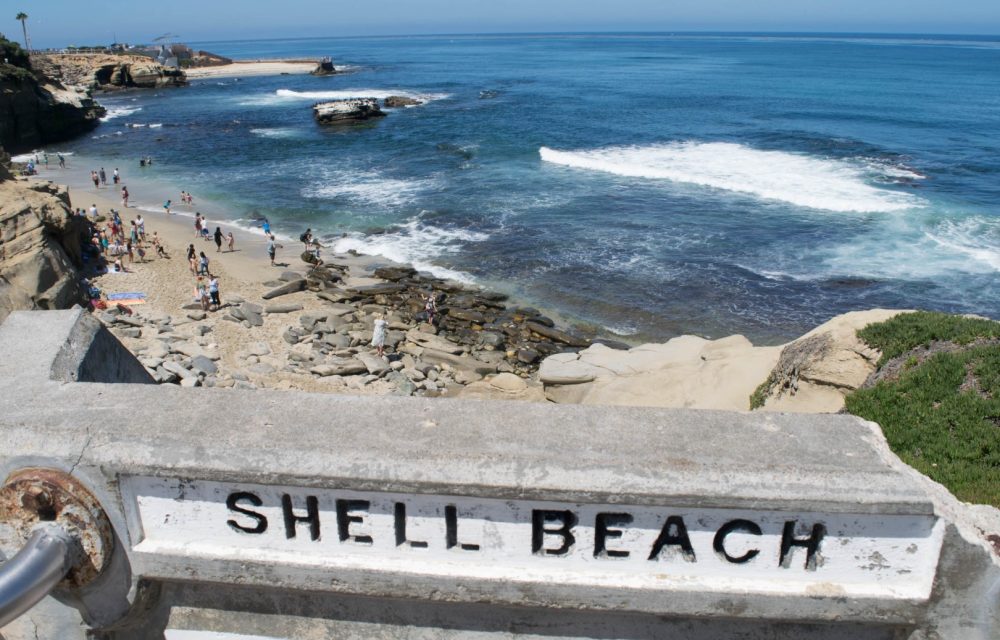 Shell Beach