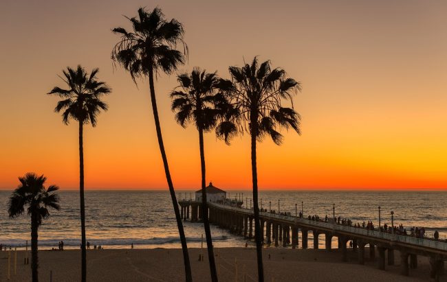 Palm trees and Pier at Manhattan Beach in Los Angeles at sunset.