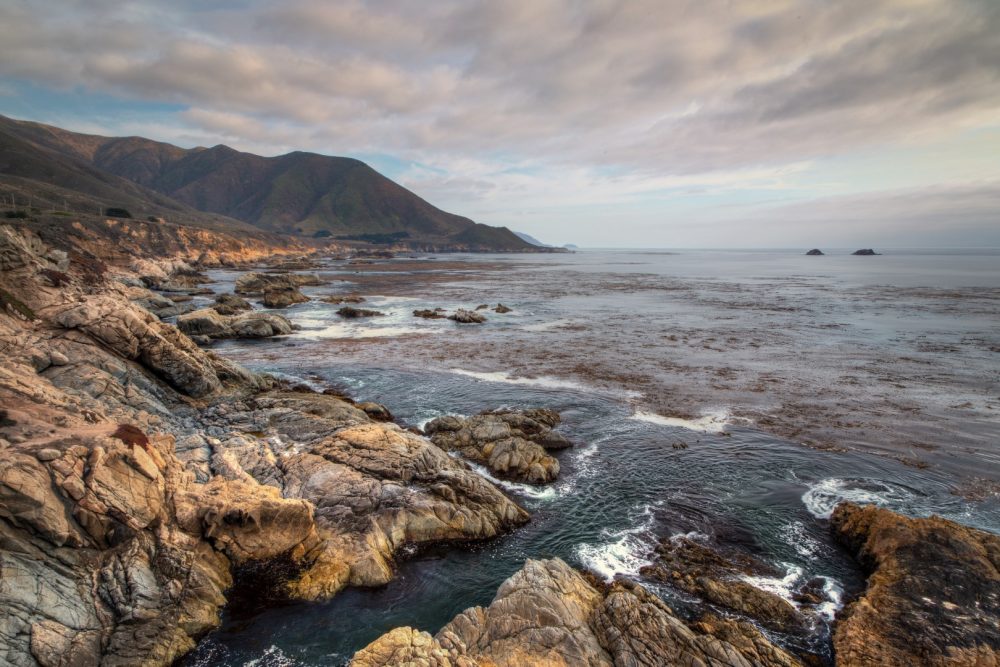 Soberanes Point Beach at Garrapata State Park