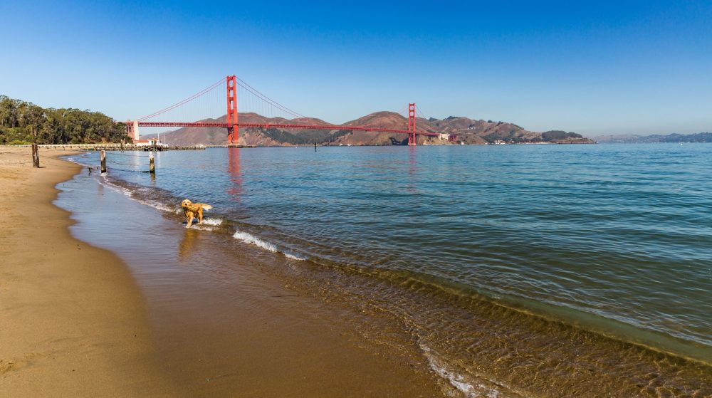 Crissy Field of San Francisco