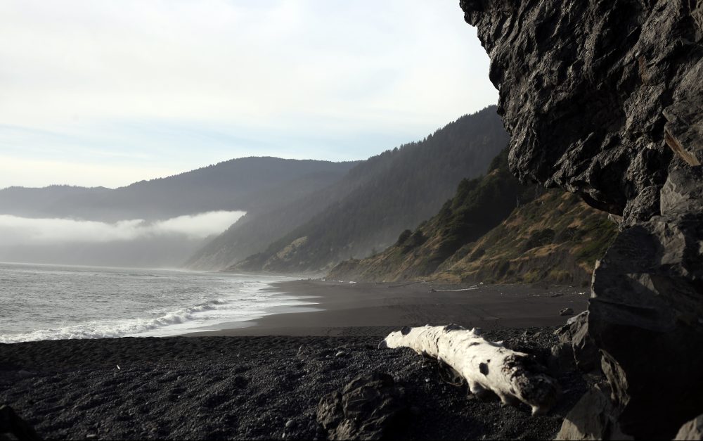 Black Sands Beach of Shelter Cove