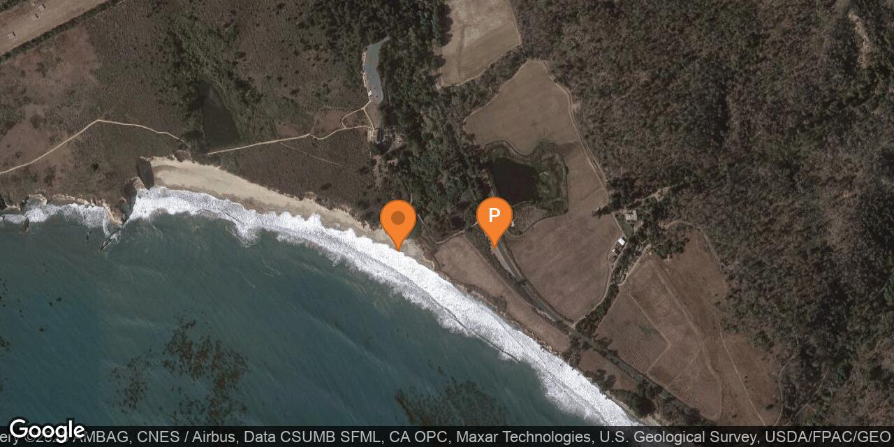 Map of Cove Beach at Ano Nuevo State Reserve