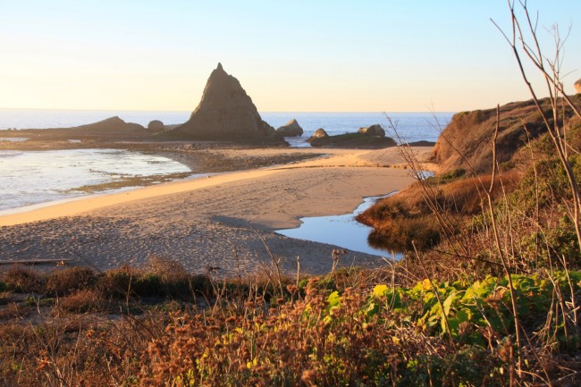 martins-beach-88 (6)