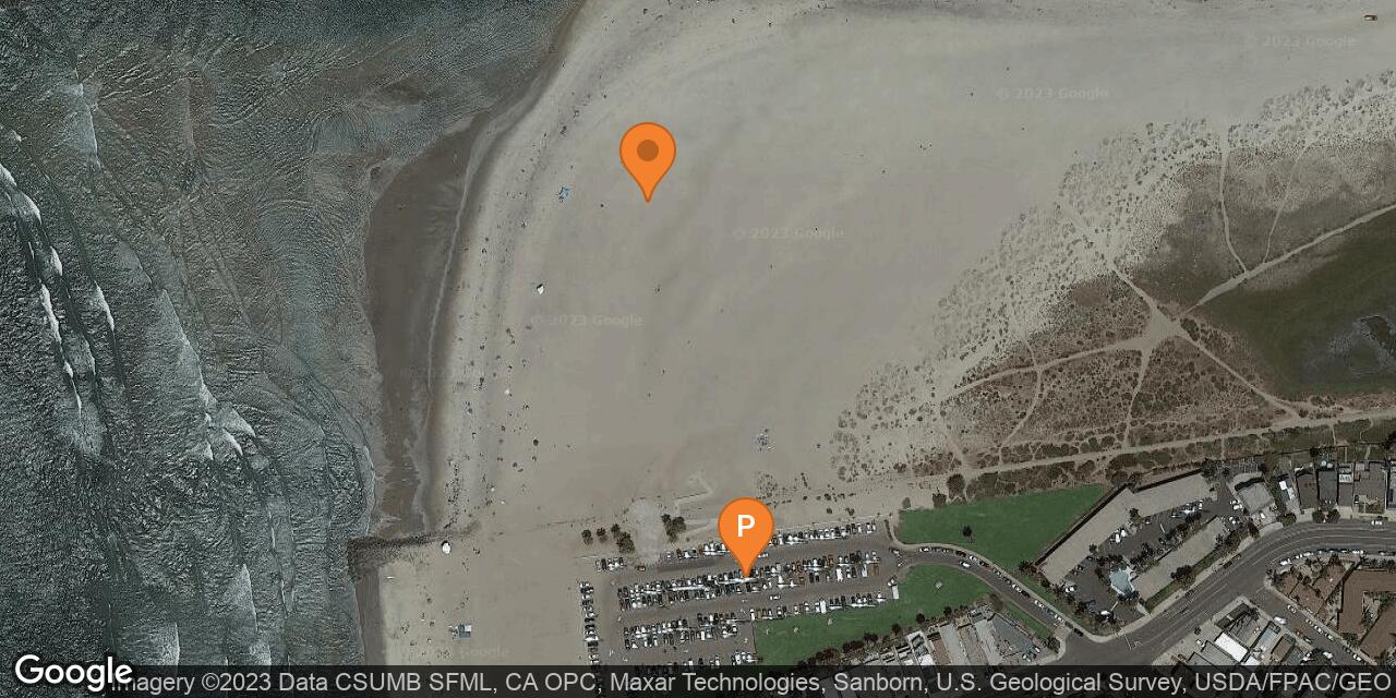 Ocean Beach Dog Beach in San Diego, CA California Beaches