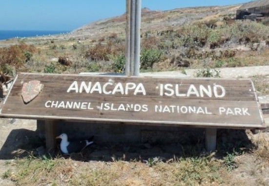 Anacapa Island – East Isle