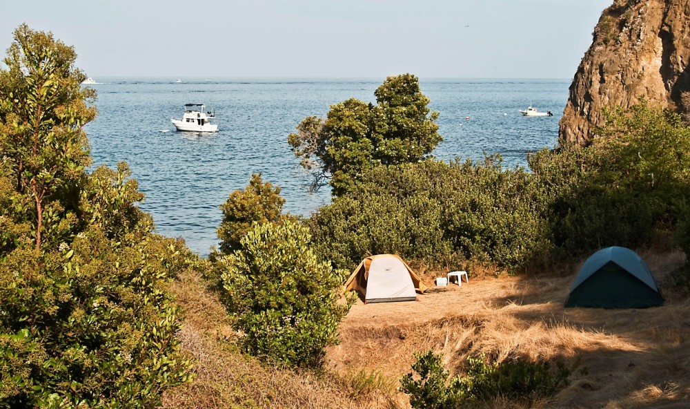 Willow Cove on Catalina Island