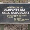 Carpinteria Seal Sanctuary