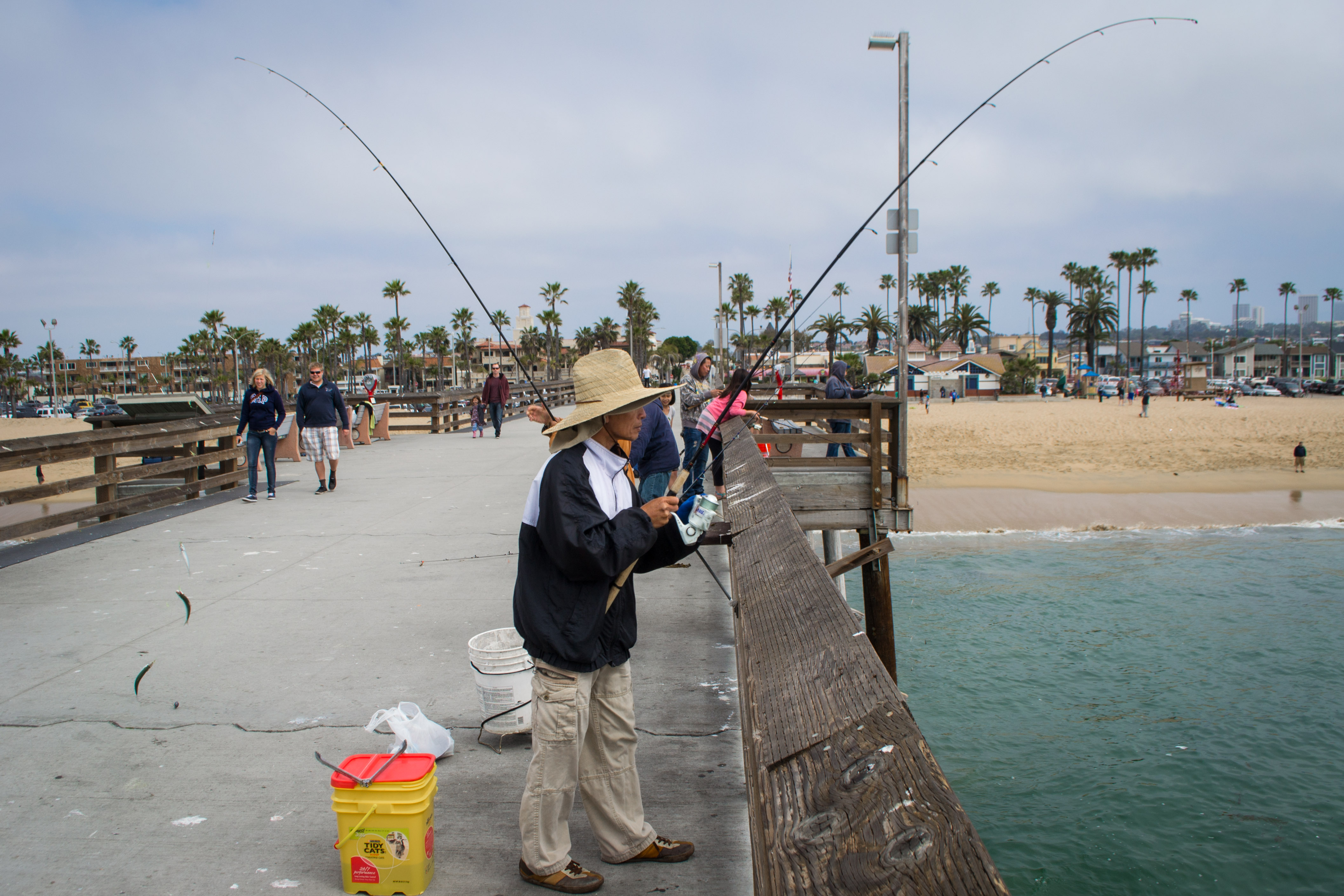 Pier Fishing in California - California Beaches